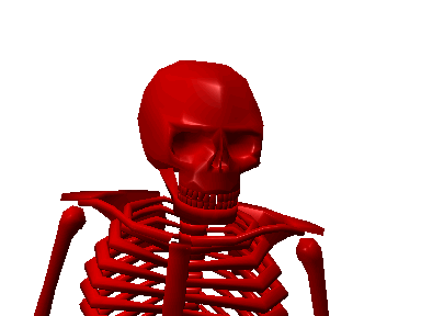 The Making Of A Skull 04.gif